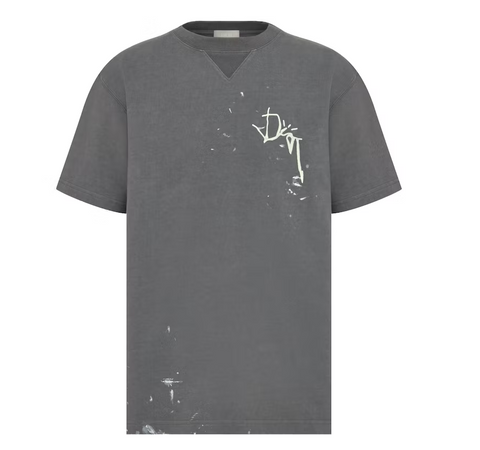 Dior x CACTUS JACK Oversized T-shirt Gray