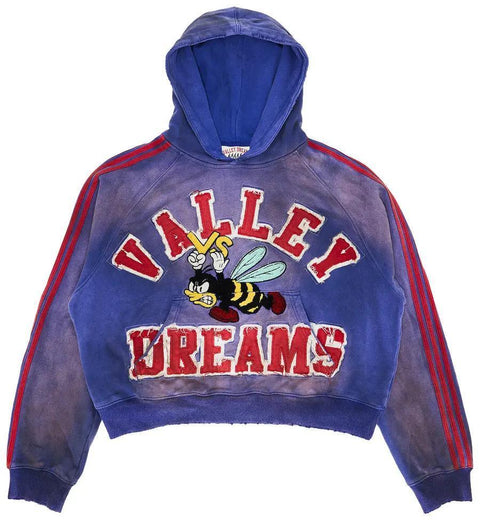 Blue hoodie with 'Valley Dreams' text and cartoon bee design on a white background